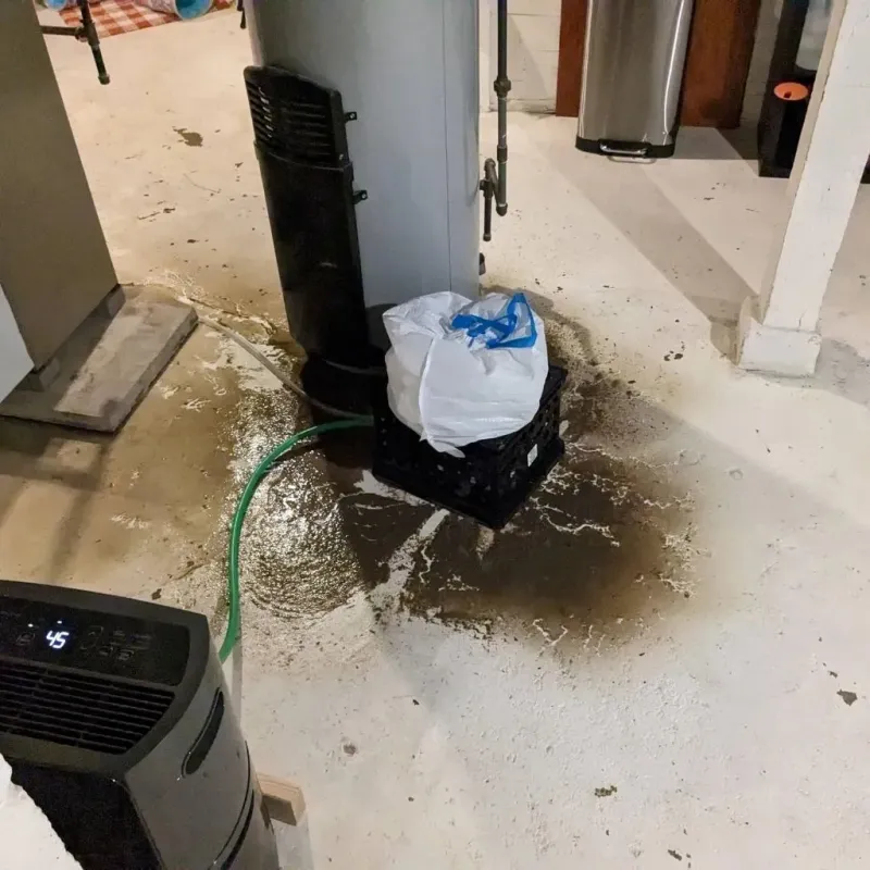 Sewage Backup Cleanup Service in Opp, AL